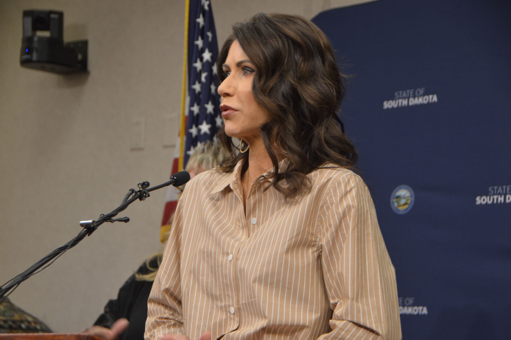 Gov. Noem's proposed campground in Custer State Park rankles business owners, lawmakers Gov. Noem